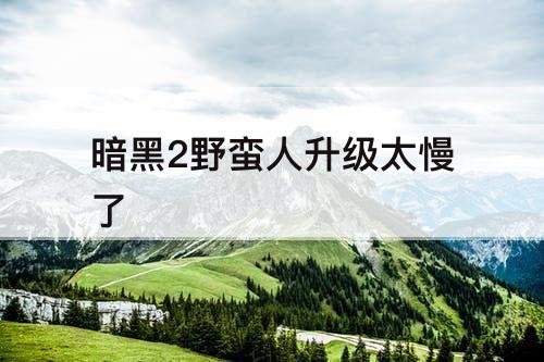 暗黑2野蛮人升级太慢了