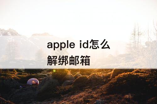 apple id怎么解绑邮箱