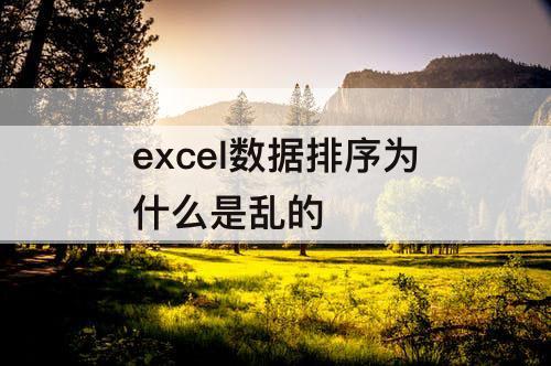 excel数据排序为什么是乱的