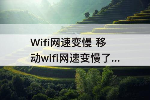 Wifi网速变慢 移动wifi网速变慢了什么原因