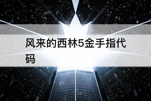 风来的西林5金手指代码