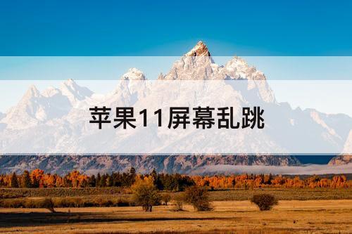 苹果11屏幕乱跳