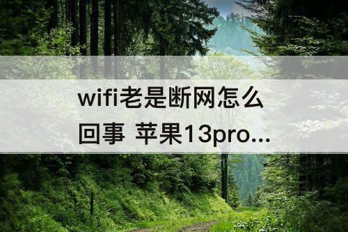 wifi老是断网怎么回事 苹果13pro连接wifi老是断网怎么回事