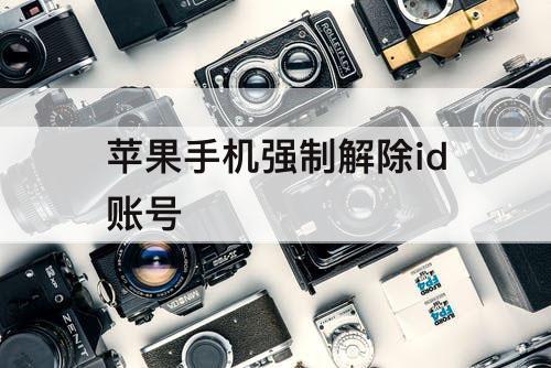 苹果手机强制解除id账号