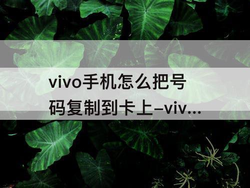 vivo手机怎么把号码复制到卡上-vivo手机怎么把号码复制到卡上去