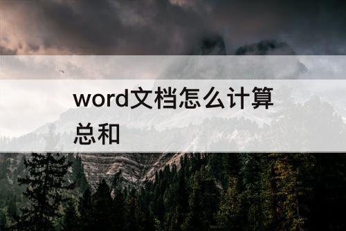word文档怎么计算总和