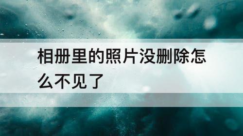 相册里的照片没删除怎么不见了