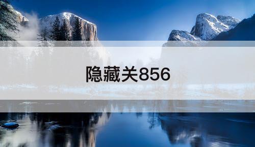 隐藏关856