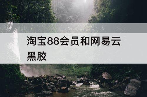 淘宝88会员和网易云黑胶