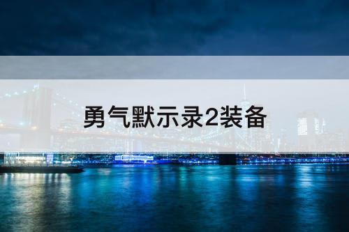勇气默示录2装备