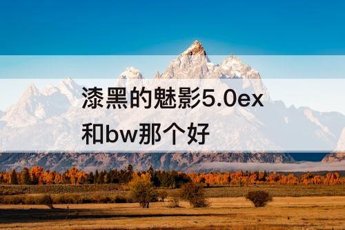 漆黑的魅影5.0ex和bw那个好