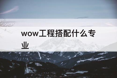 wow工程搭配什么专业