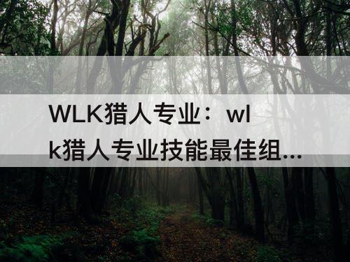 WLK猎人专业：wlk猎人专业技能最佳组合