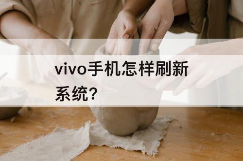 vivo手机怎样刷新系统?