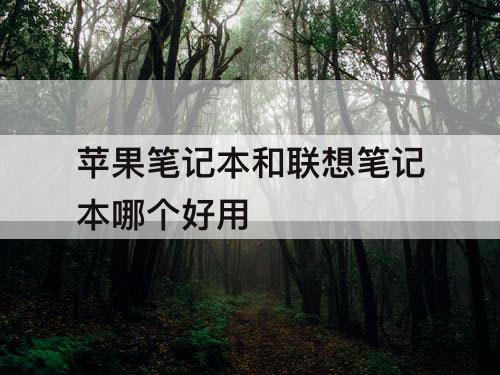苹果笔记本和联想笔记本哪个好用