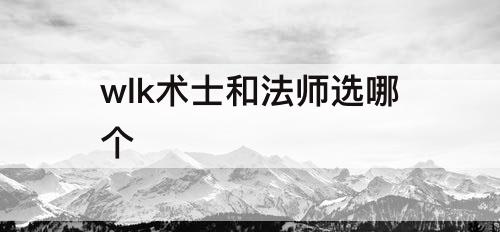 wlk术士和法师选哪个