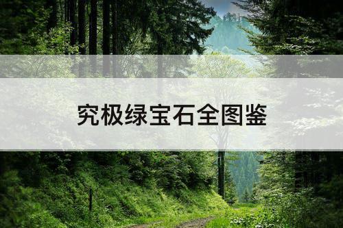 究极绿宝石全图鉴