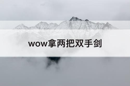 wow拿两把双手剑