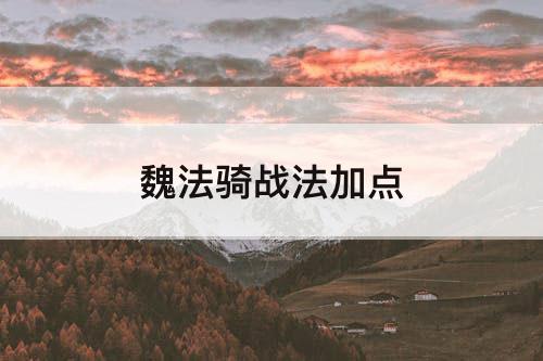 魏法骑战法加点