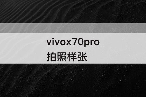 vivox70pro拍照样张