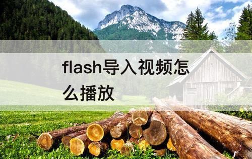 flash导入视频怎么播放