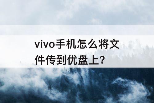 vivo手机怎么将文件传到优盘上?