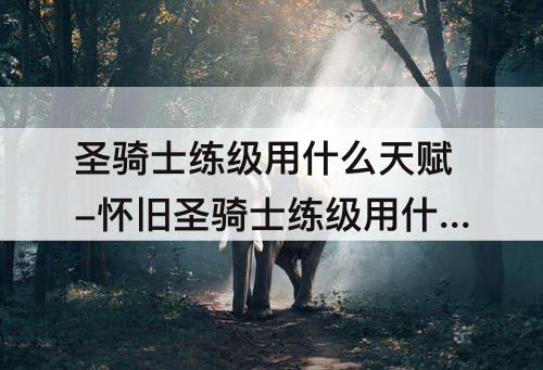 圣骑士练级用什么天赋-怀旧圣骑士练级用什么天赋