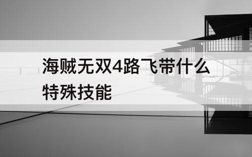 海贼无双4路飞带什么特殊技能