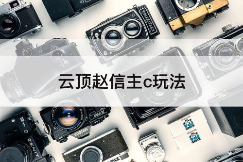 云顶赵信主c玩法
