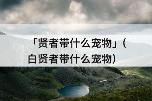 「贤者带什么宠物」(白贤者带什么宠物)