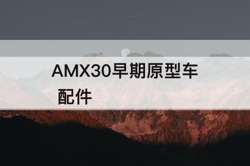 AMX30早期原型车 配件