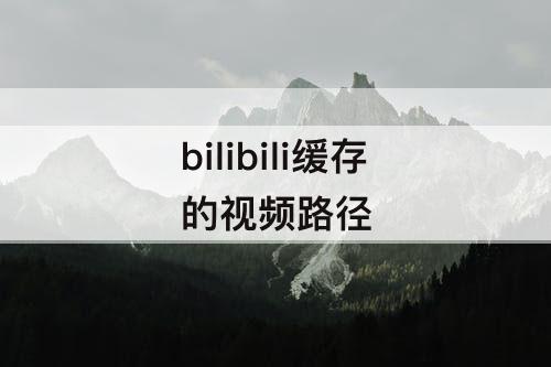 bilibili缓存的视频路径