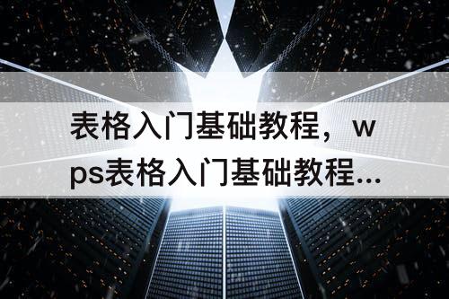 表格入门基础教程，wps表格入门基础教程函数