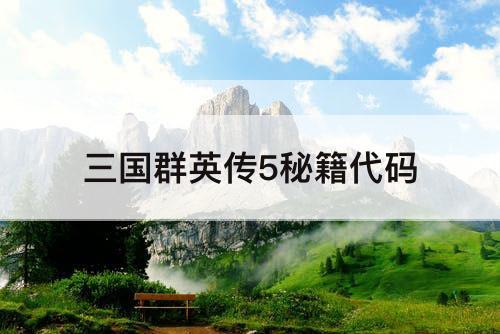 三国群英传5秘籍代码