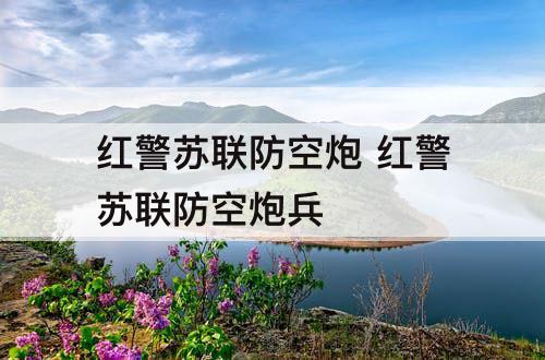 红警苏联防空炮 红警苏联防空炮兵