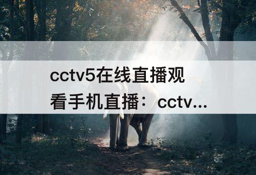 cctv5在线直播观看手机直播：cctv5在线直播观看手机直播l