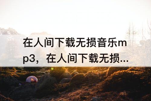 在人间下载无损音乐mp3，在人间下载无损音乐mp3提取码