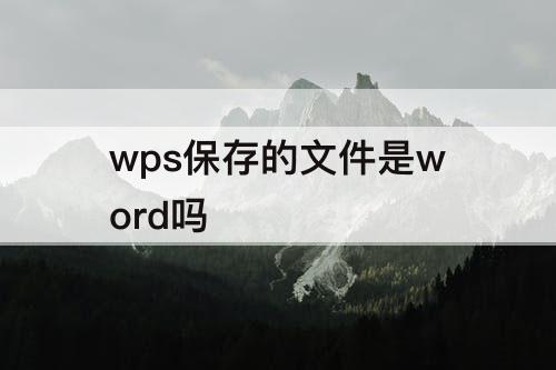 wps保存的文件是word吗