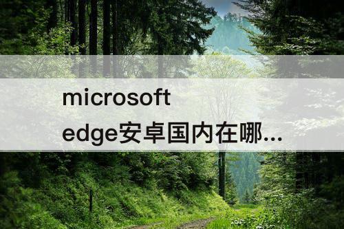 microsoft edge安卓国内在哪下