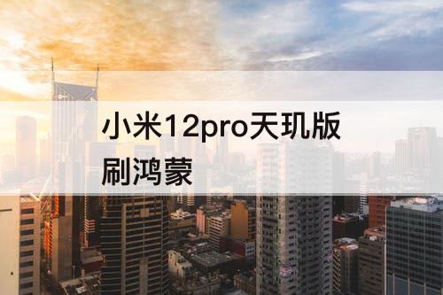 小米12pro天玑版刷鸿蒙