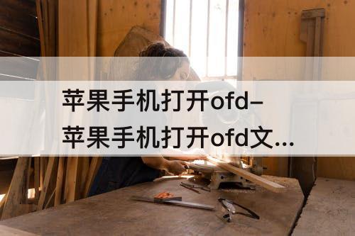 苹果手机打开ofd-苹果手机打开ofd文件用什么软件