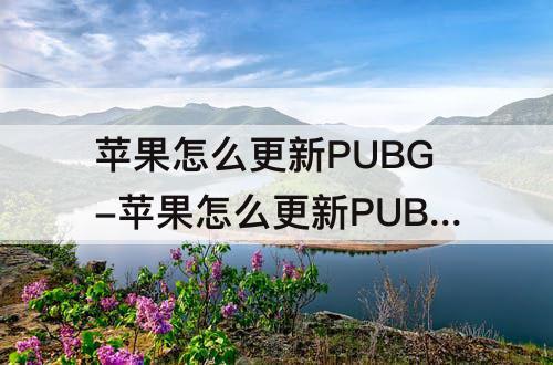 苹果怎么更新PUBG-苹果怎么更新PUBG MOBILE