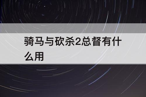 骑马与砍杀2总督有什么用