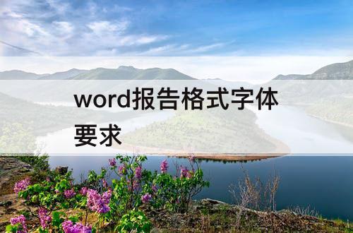 word报告格式字体要求
