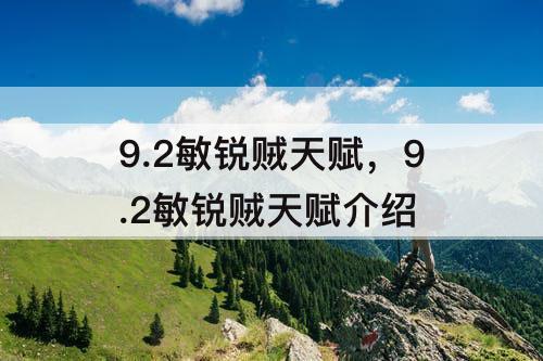 9.2敏锐贼天赋，9.2敏锐贼天赋介绍