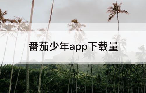 番茄少年app下载量