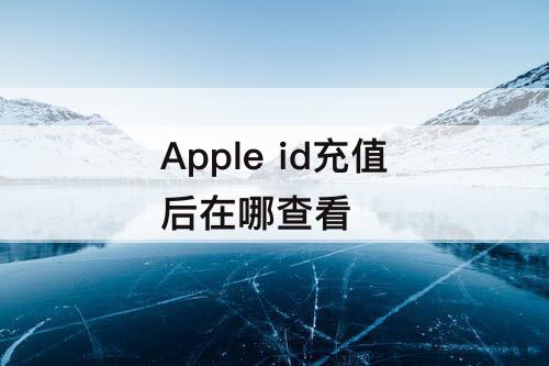 Apple id充值后在哪查看