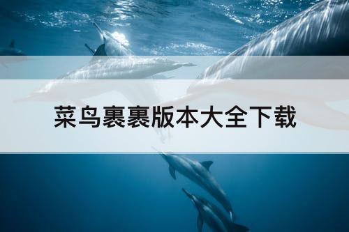 菜鸟裹裹版本大全下载