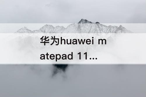 华为huawei matepad 11 和10.4
