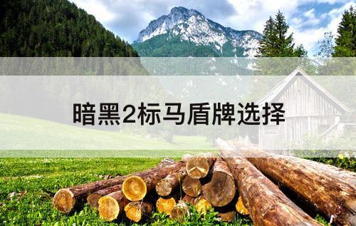暗黑2标马盾牌选择